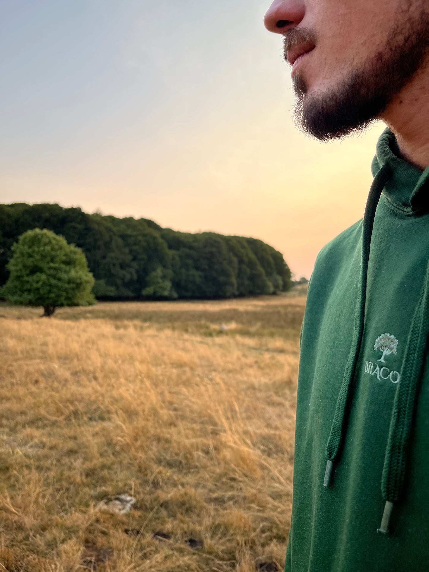 Sweat à capuche Braco - Hêtre Royal